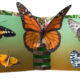Papillon Livre Gaelle Pelachaud
