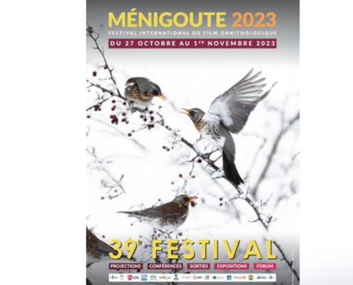 Ménigoute 2023 Festival du film ornithologique Du 27 octobre au 1 novembre 2023