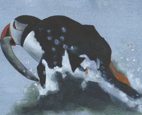 Macareux moine Atlantic puffin Œuvre sur papier Gaëlle Pelachaud