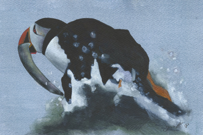 Macareux moine Atlantic puffin Œuvre sur papier Gaëlle Pelachaud