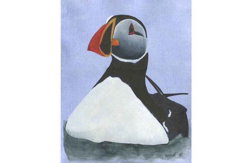 Macareux moine Atlantic puffin Œuvre sur papier Gaëlle Pelachaud