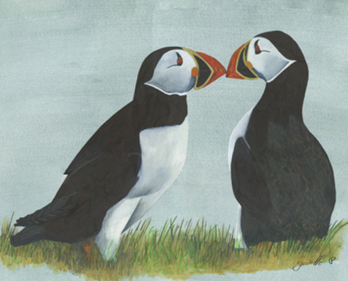 Macareux moine Atlantic puffin Œuvre sur papier Gaëlle Pelachaud