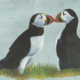 Macareux moine Atlantic puffin Œuvre sur papier Gaëlle Pelachaud