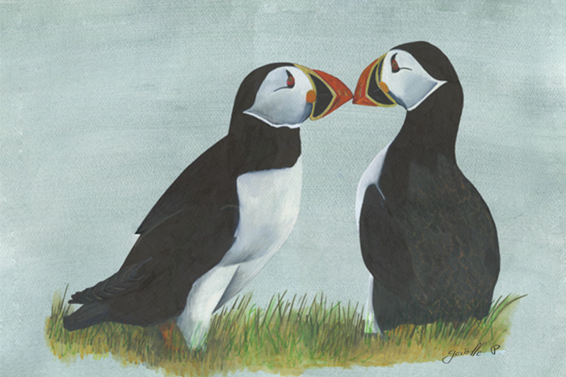 Macareux moine Atlantic puffin Œuvre sur papier Gaëlle Pelachaud