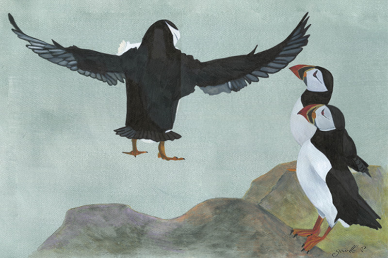 Macareux moine Atlantic puffin Œuvre sur papier Gaëlle Pelachaud