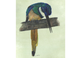 Jacamar a queue rousse - Rufous-tailed Jacamar Œuvre sur papier Gaëlle Pelachaud