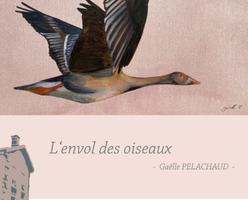 L'envol des oiseaux