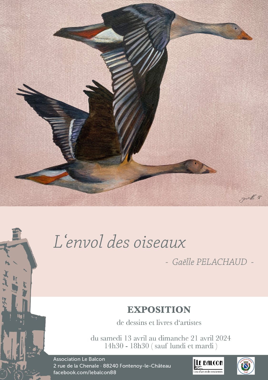 L'envol des oiseaux