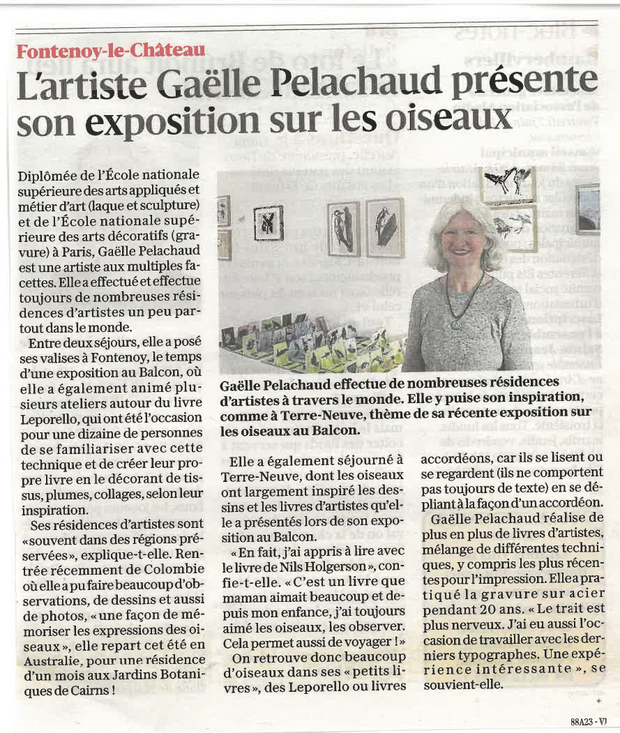 L'artiste Gaëlle pelachaud présente son exposition sur les oiseaux