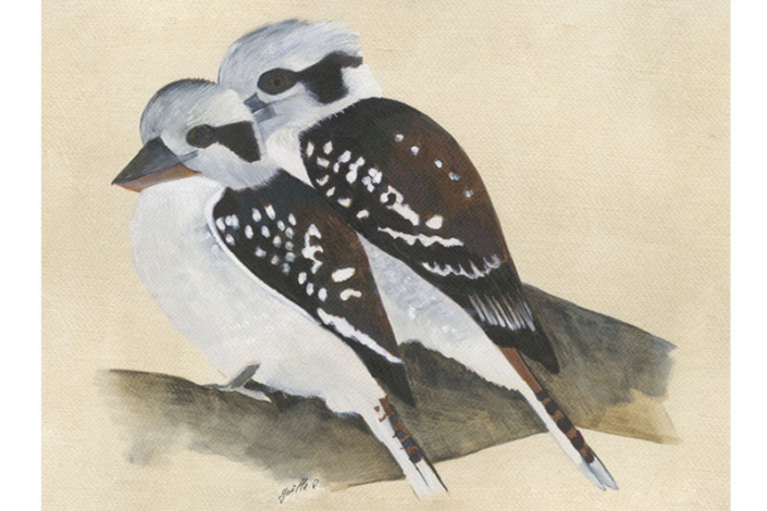 Martin Chasseur - Kookaburra Œuvre sur papier Gaëlle Pelachaud