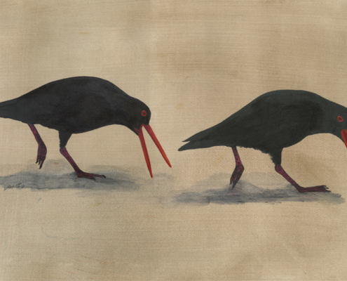 Huîtrier variable - Variable Oystercatcher Œuvre sur papier Gaëlle Pelachaud