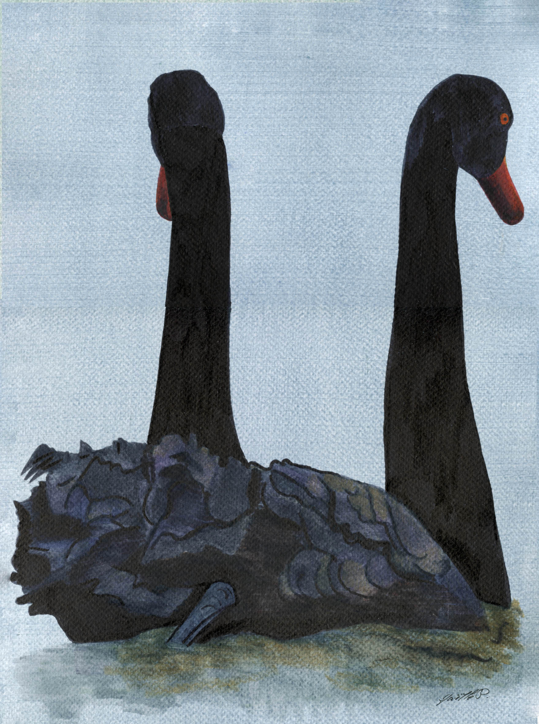 Exposition Griffe 25 nov-7 dec 2025 Hybrid's Crib Cygne noir Gaelle Pelachaud