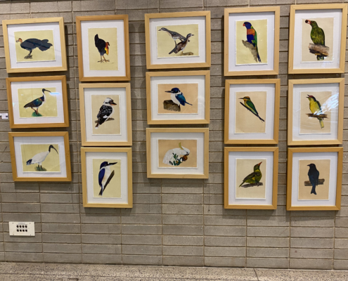Exhibition Birdlife of Cattana Gaëlle Pelachaud and Joshua Percival , Cairns, Australie, 2024