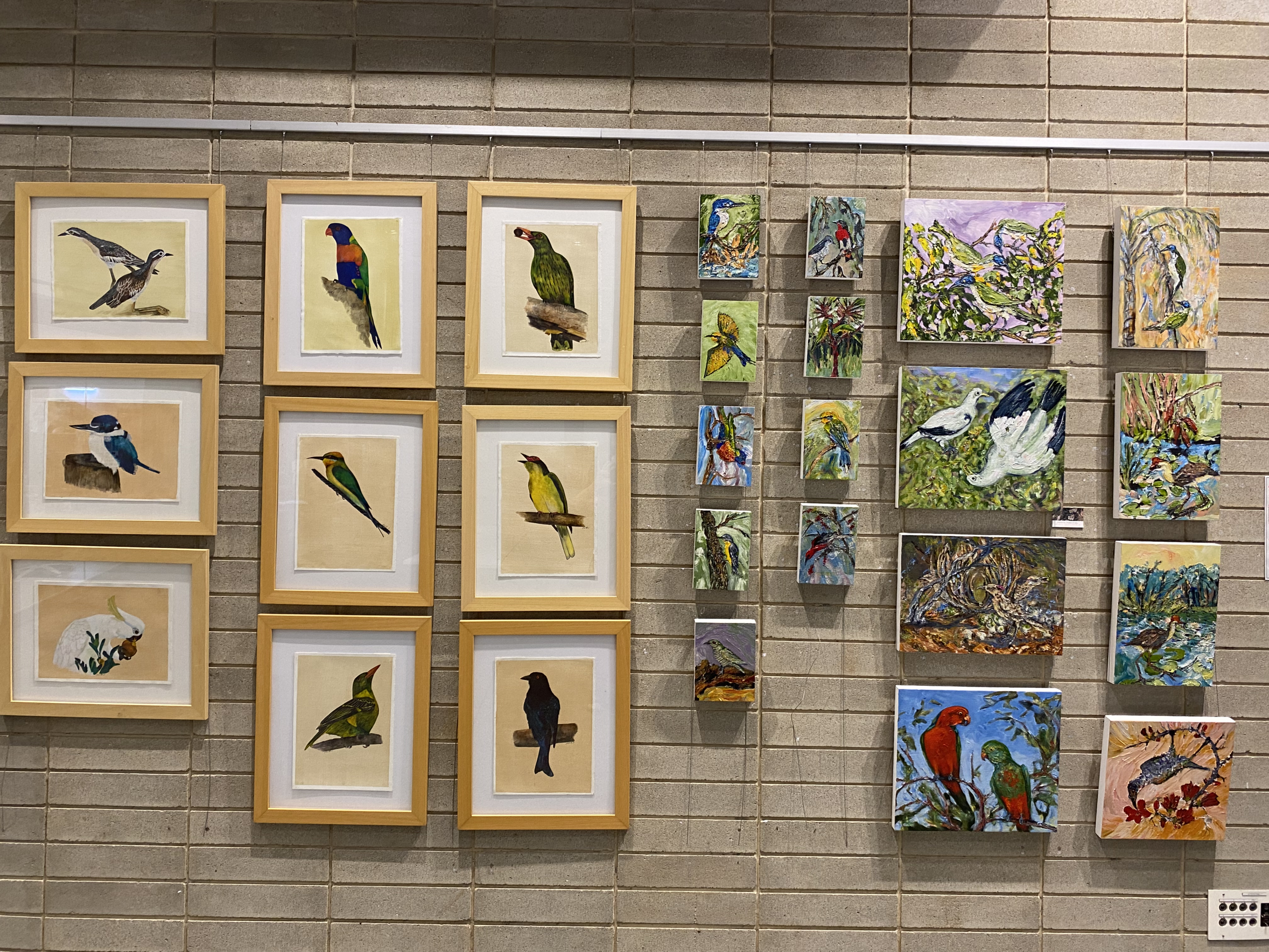 Exhibition Birdlife of Cattana Gaëlle Pelachaud and Joshua Percival_Cairns, Australie, 2024 Exhibition Birdlife of Cattana Gaëlle Pelachaud and Joshua Percival , Cairns, Australie, 2024