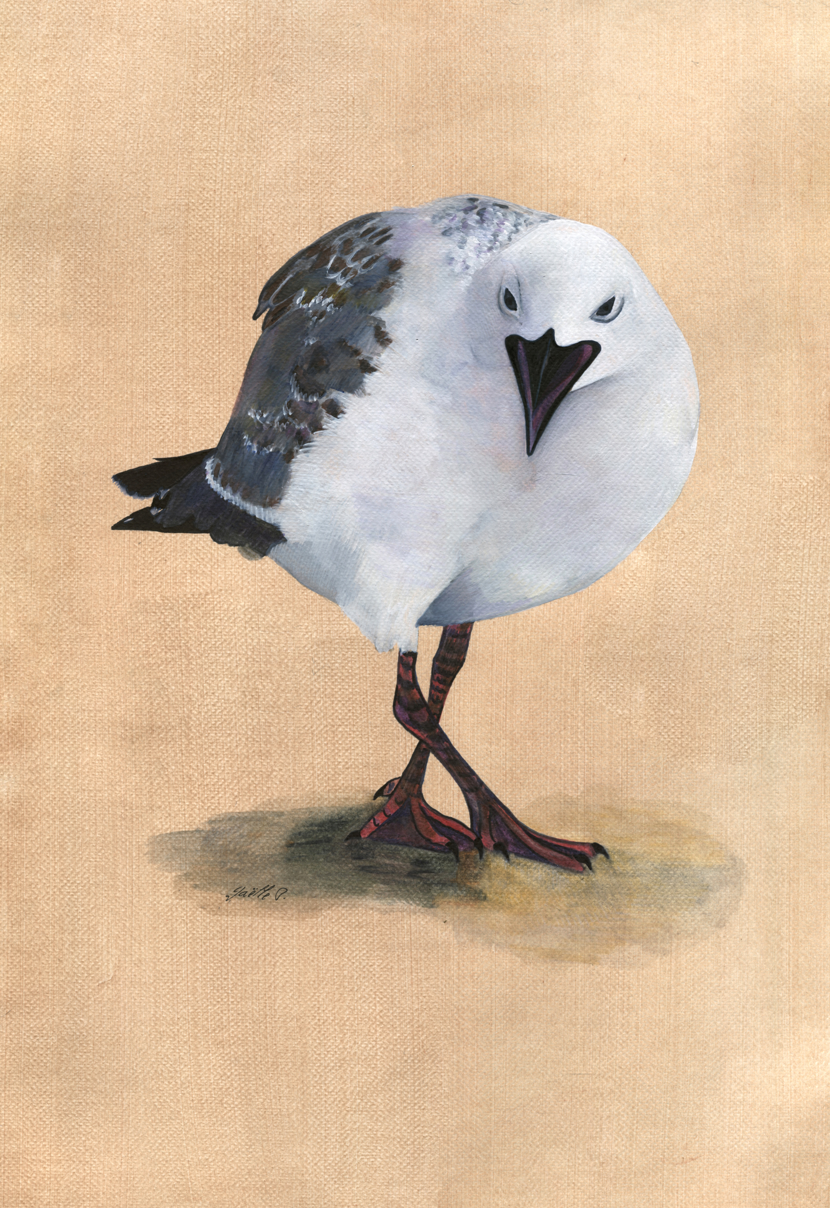 Exposition Griffe 25 nov-7 dec 2025 Hybrid's Crib Mouette de Buller Gaelle Pelachaud