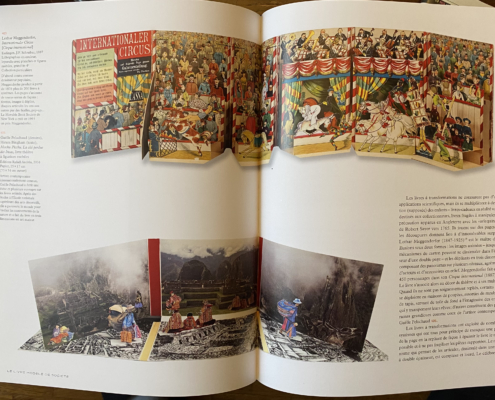 Zali Article Gaelle Pelachaud edition Citadelle & Mazenod